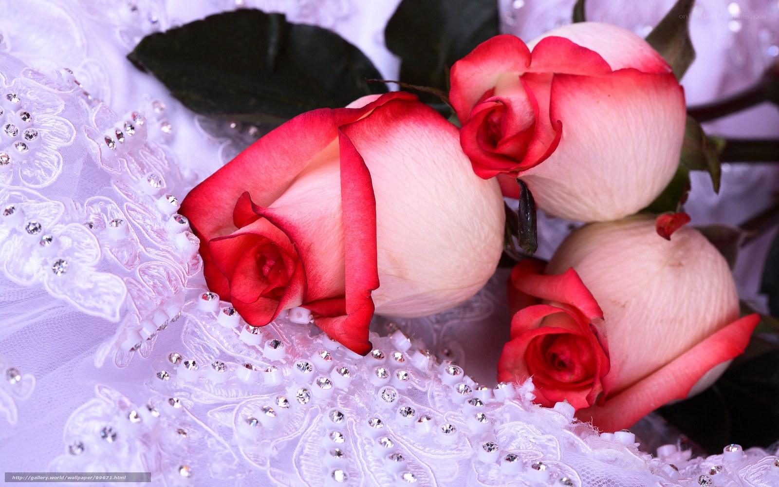 roses on wedding dress