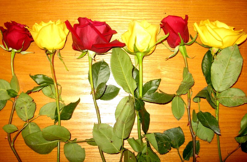 Roses on Wooden Surface