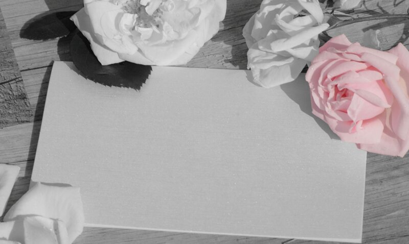 Roses on Wooden Surface — White