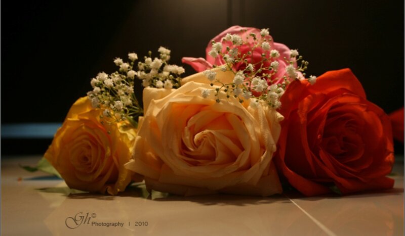 Roses with baby's breath