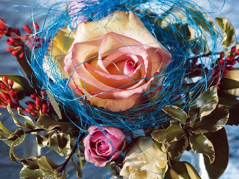 Roses with blue fibers