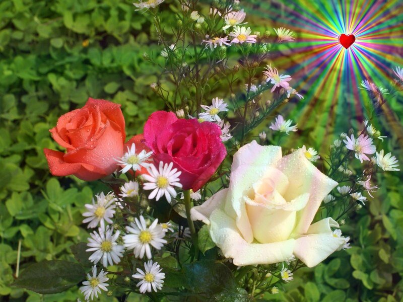 roses with daisies and heart