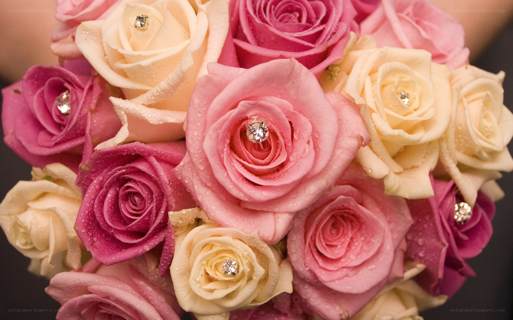 roses with gemstones