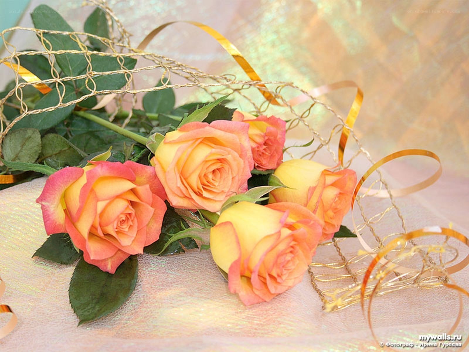 roses with golden ribbons
