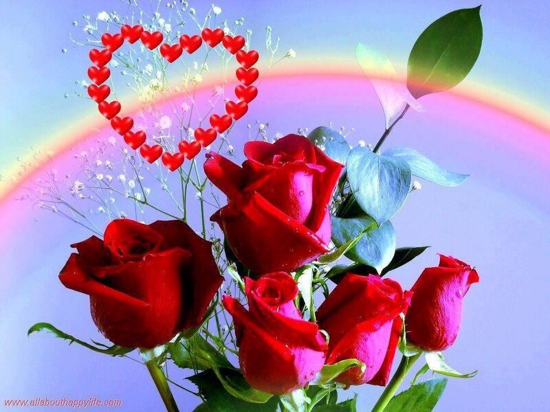 roses with heart and rainbow