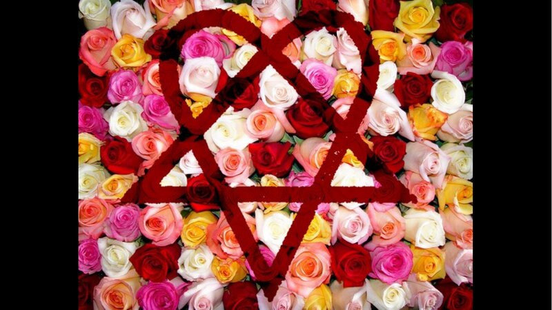 Roses with Heart Symbol — Red