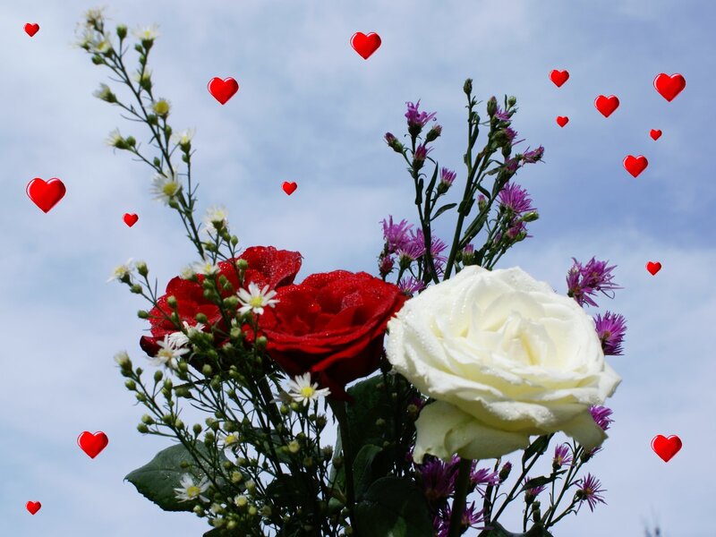 roses with hearts