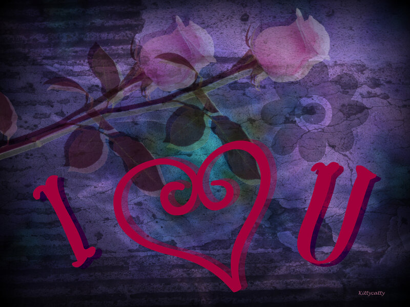 Roses with I Love You Text