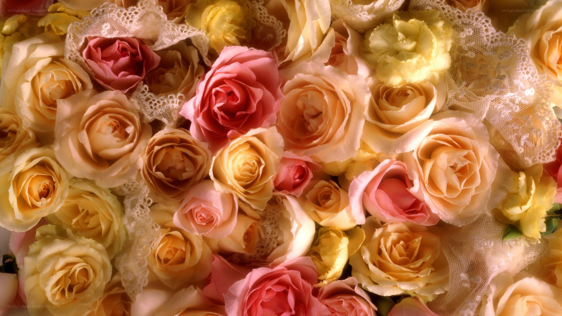 roses with lace decoration