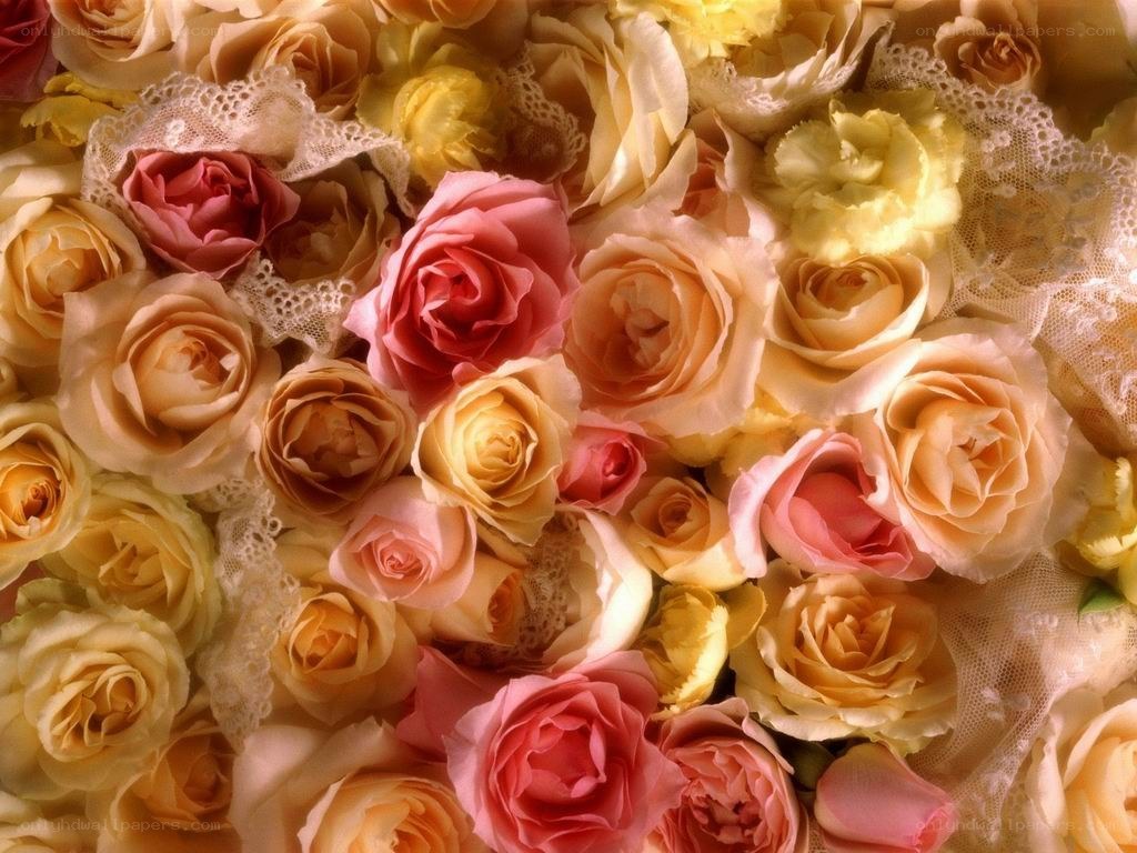 roses with lace decoration