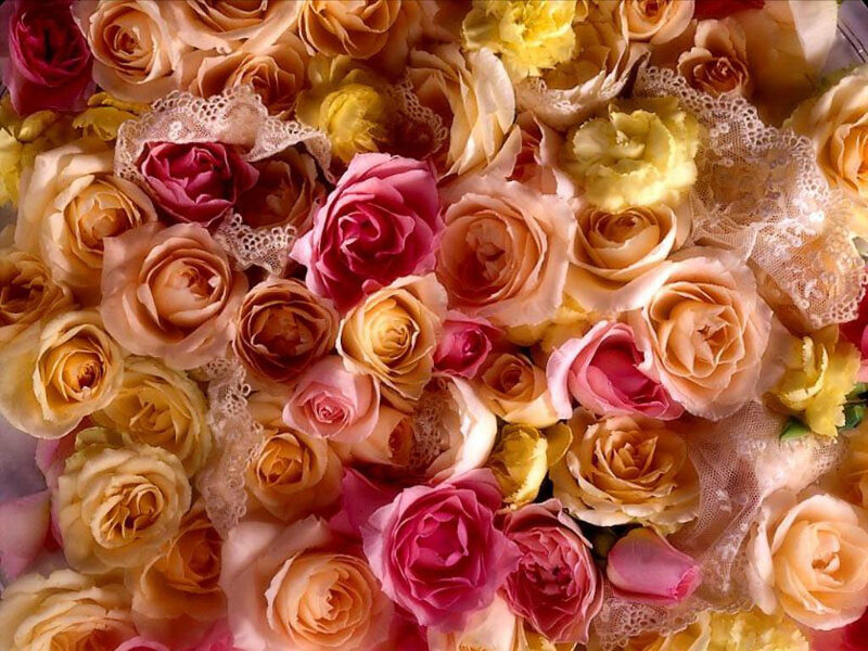 Roses with Lace Trim