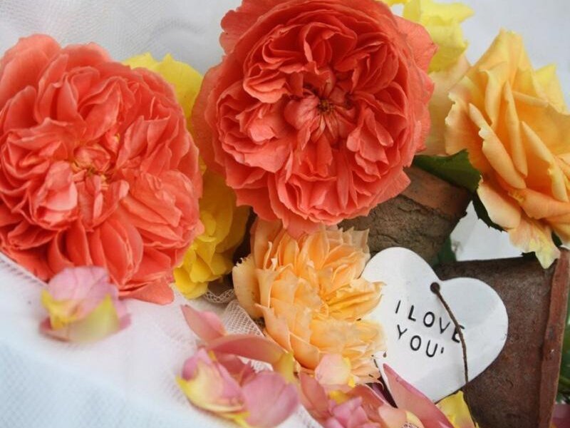 roses with love note