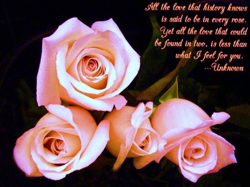 roses with love quote