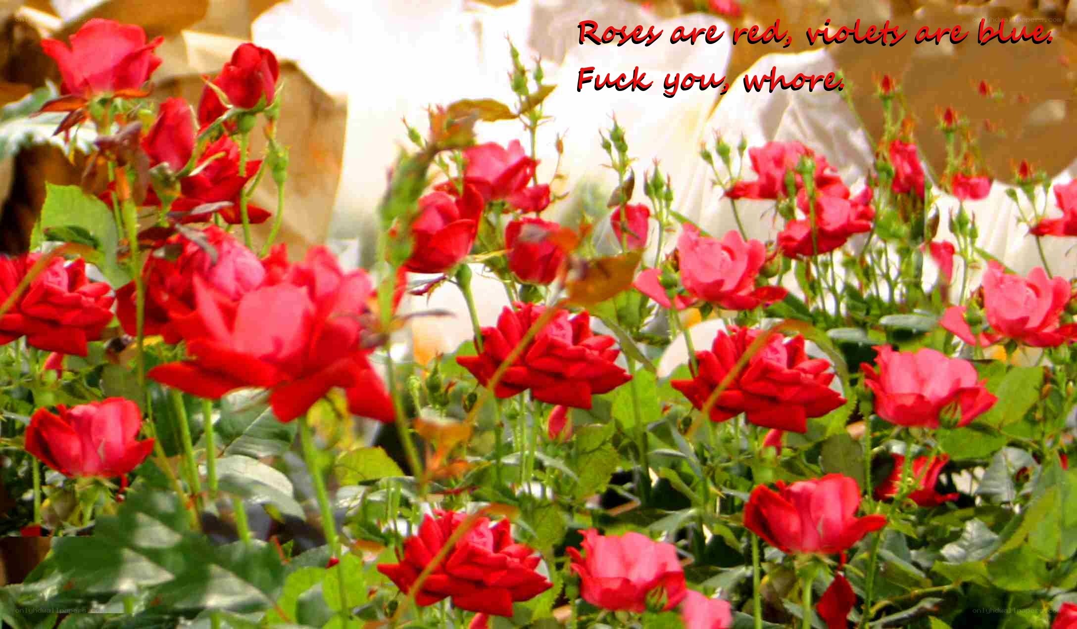 Roses with offensive text