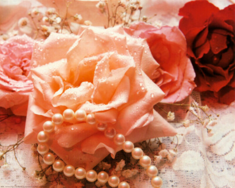 Roses with Pearls — Pink