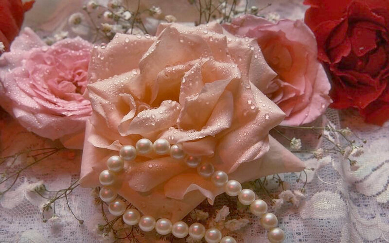 Roses with Pearls