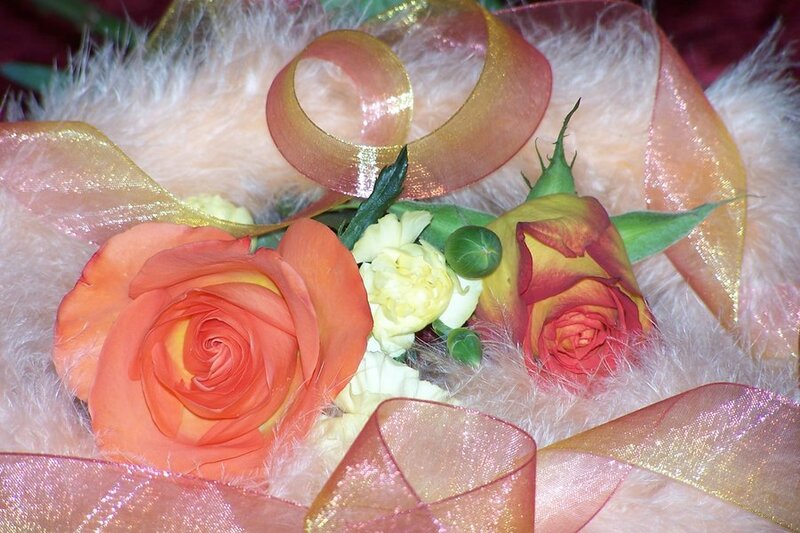 Roses with Ribbon