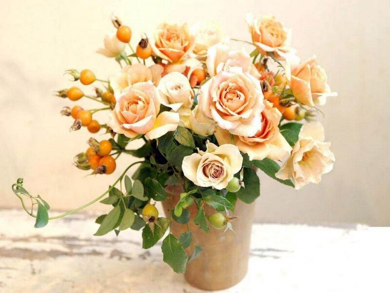 Roses with Rose Hips