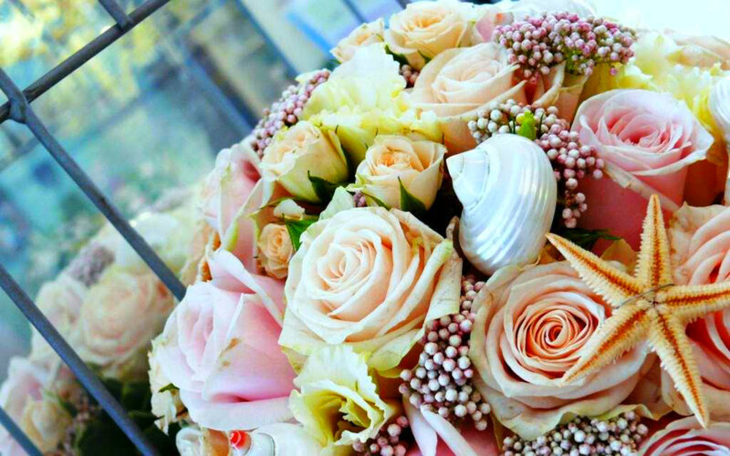 Roses with Seashell and Starfish