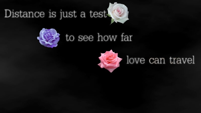 Roses with Text — Black