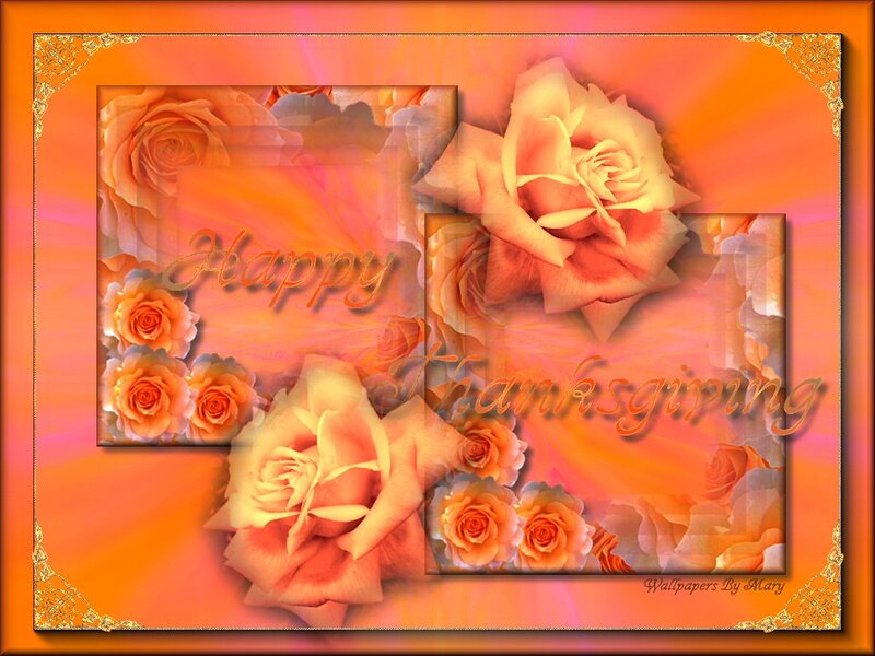 Roses with Text Overlay