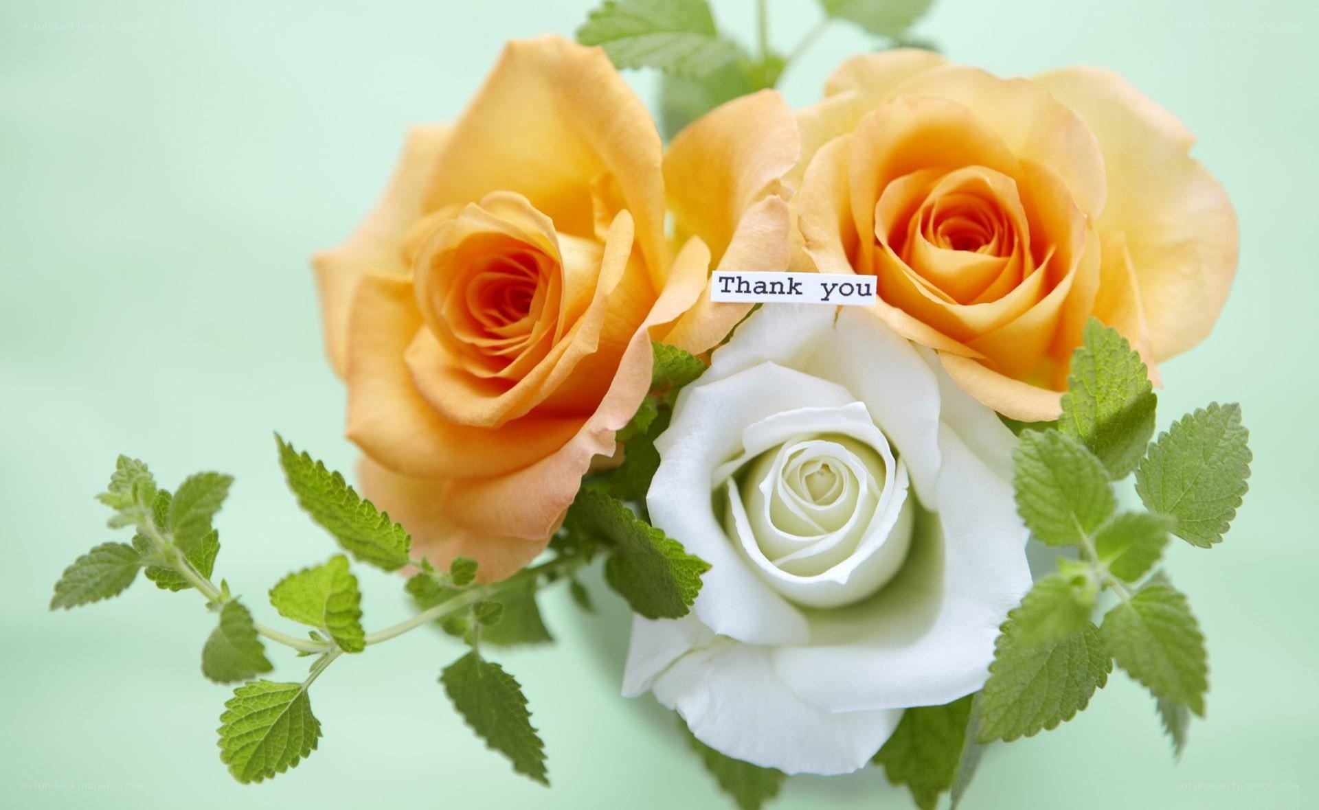 roses with thank you note