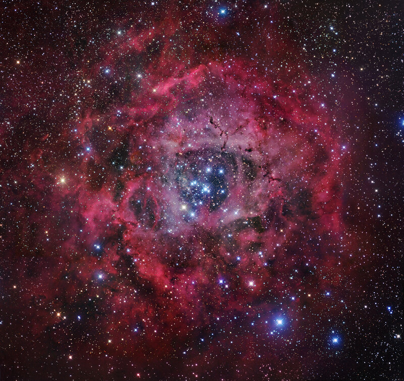 Rosette Nebula in space