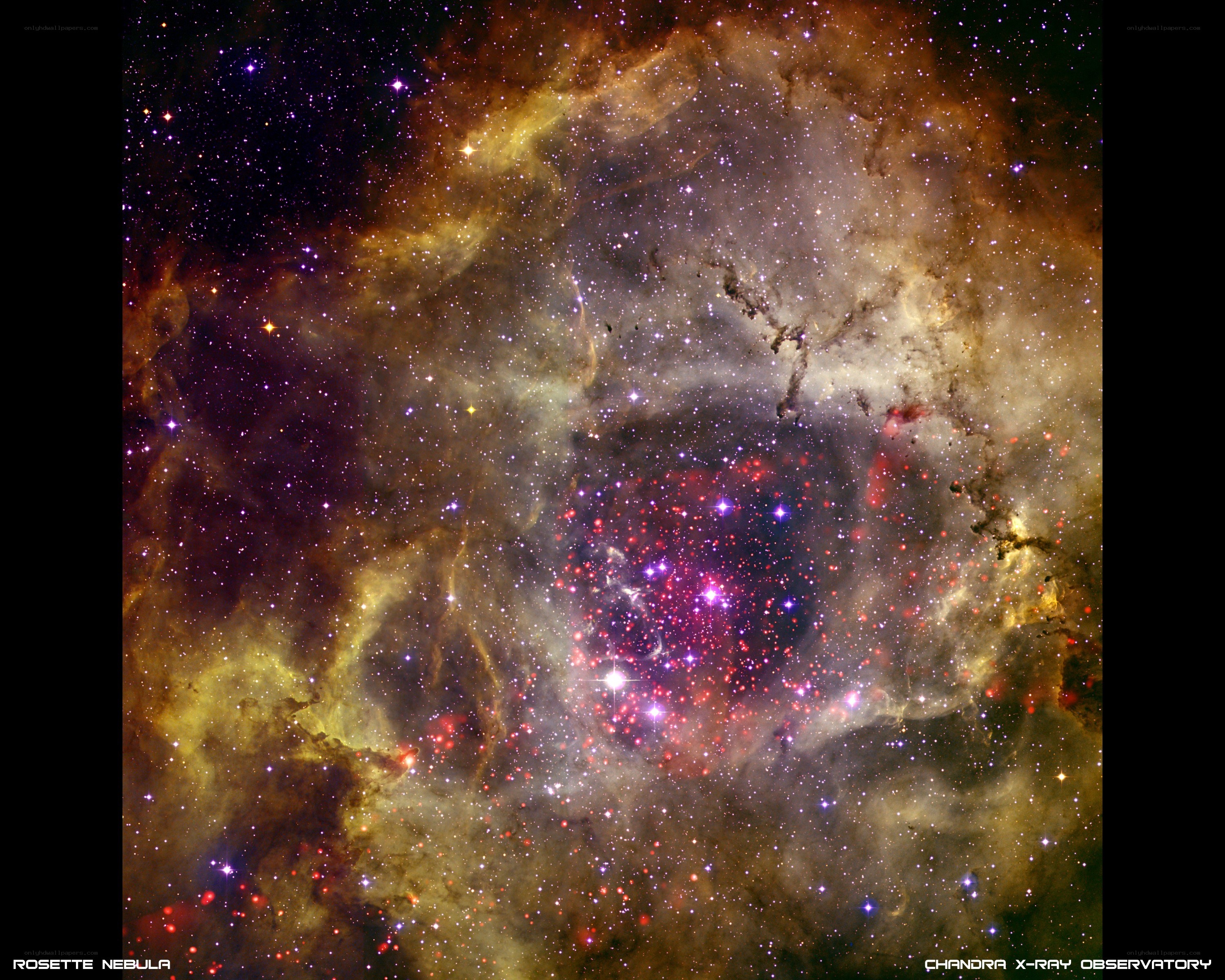 Rosette Nebula in X-ray