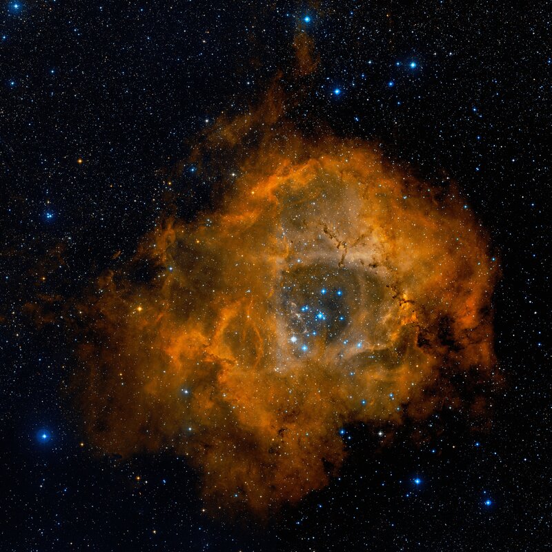 Rosette Nebula — Orange