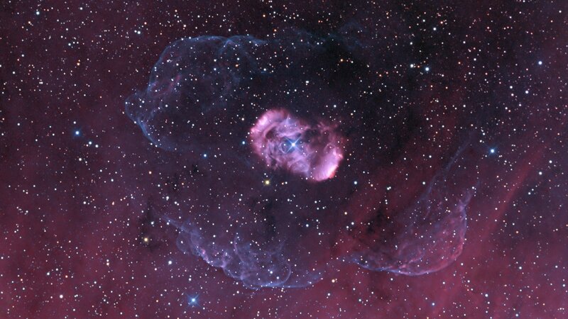 Rosette Nebula — Purple, Cosmic