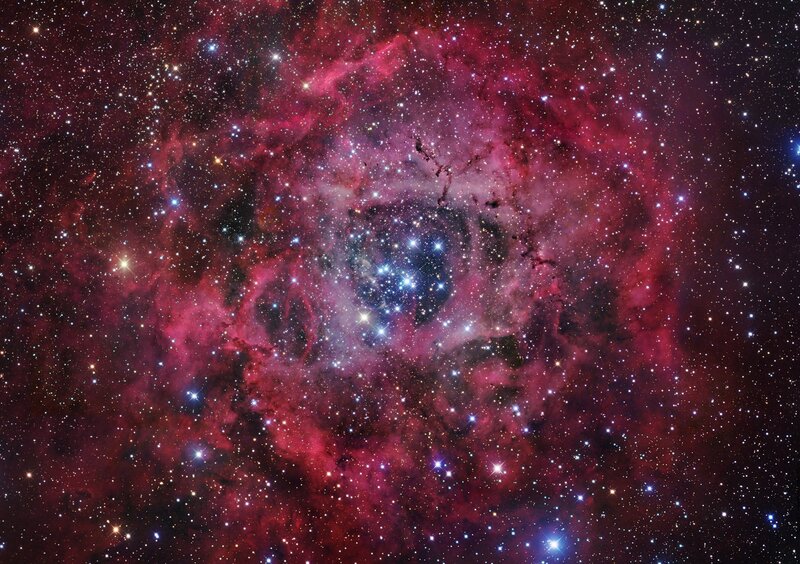 Rosette Nebula — Red, Cosmic, Night, Photograph, Stars, Gas Clouds, Purple