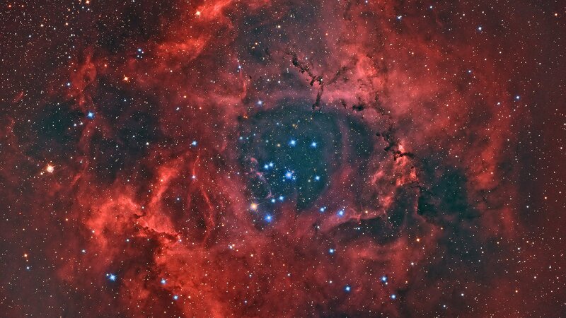 Rosette Nebula — Red, Cosmic, Photograph