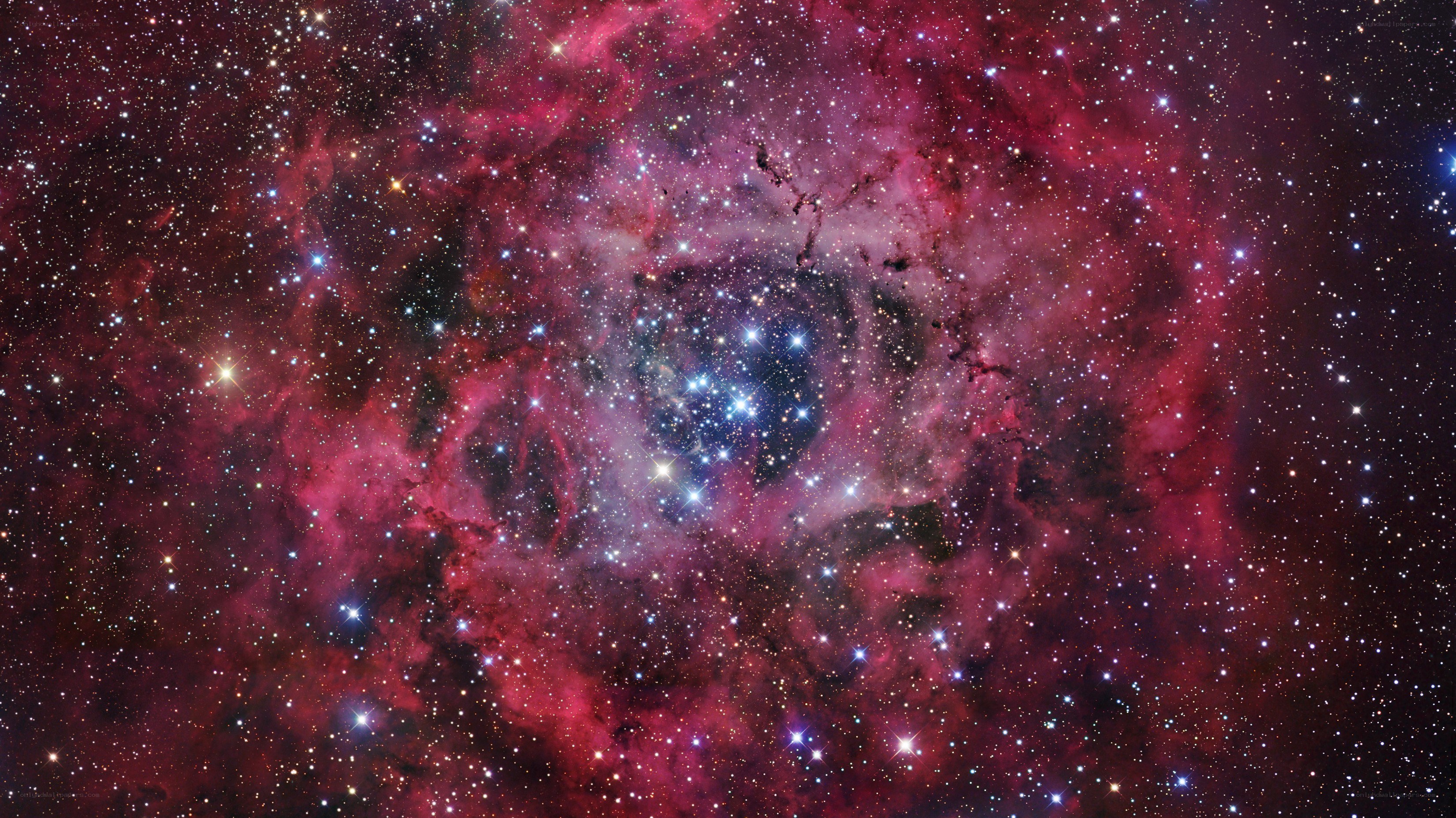 Rosette Nebula star cluster