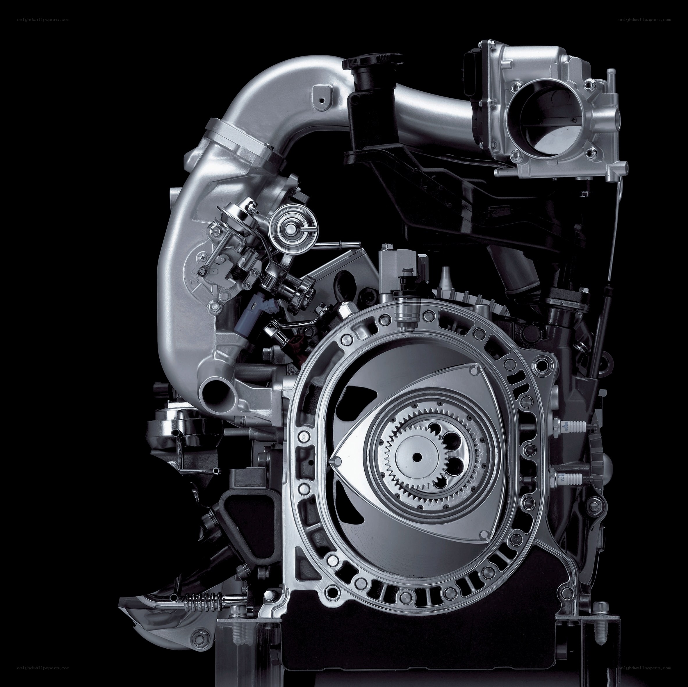Rotary engine cutaway view