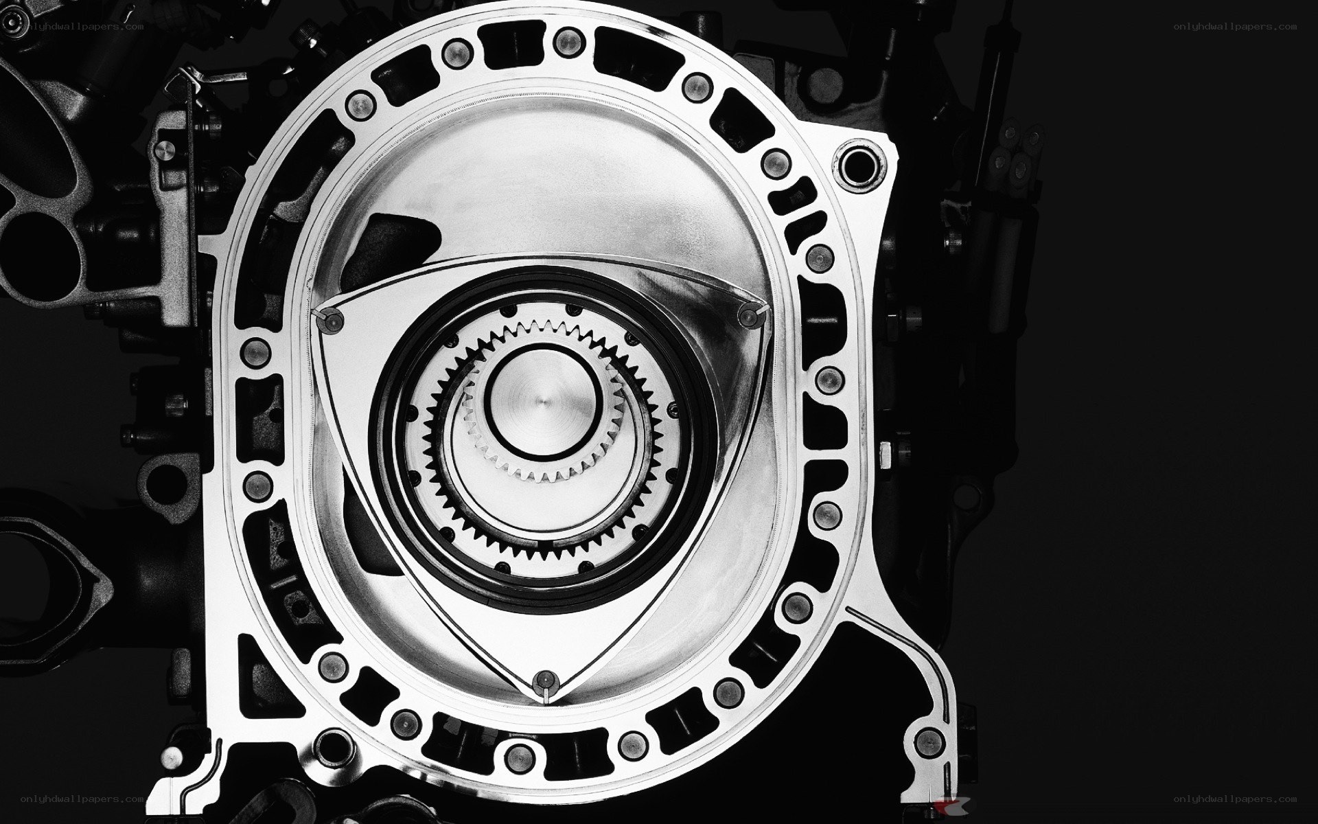 Rotary engine internal view