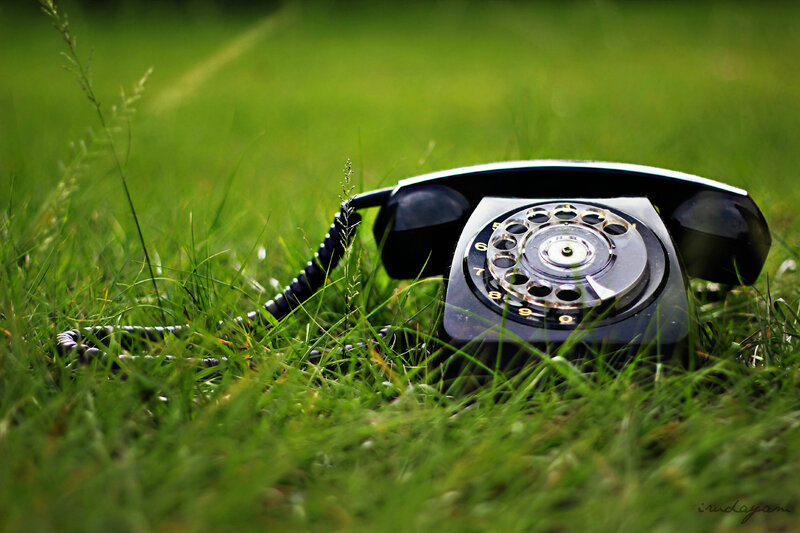 Rotary Telephone in Grass