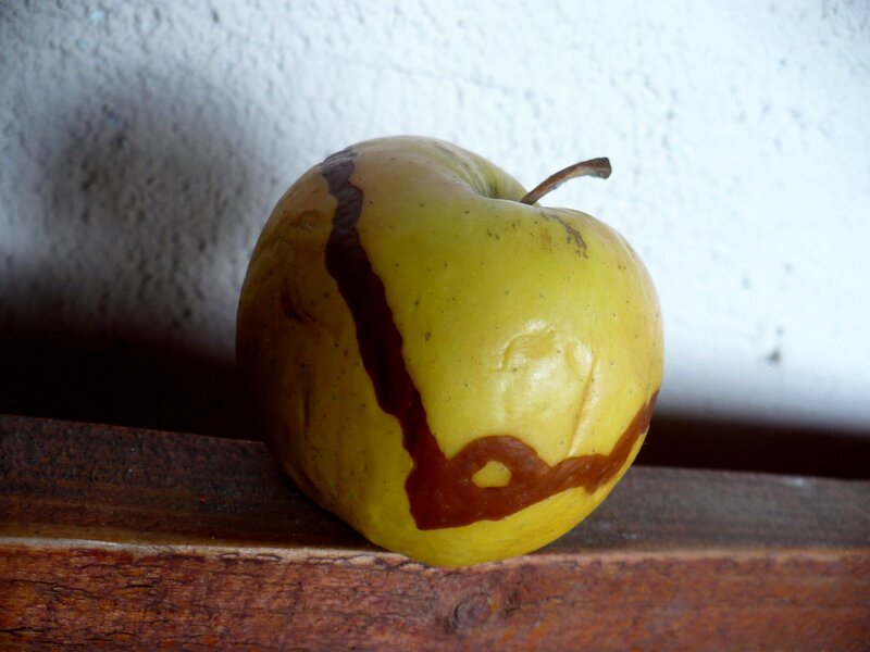 Rotten Apple on Wood