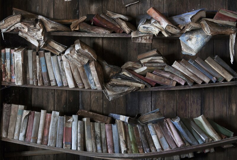 Rotten Books on Shelves