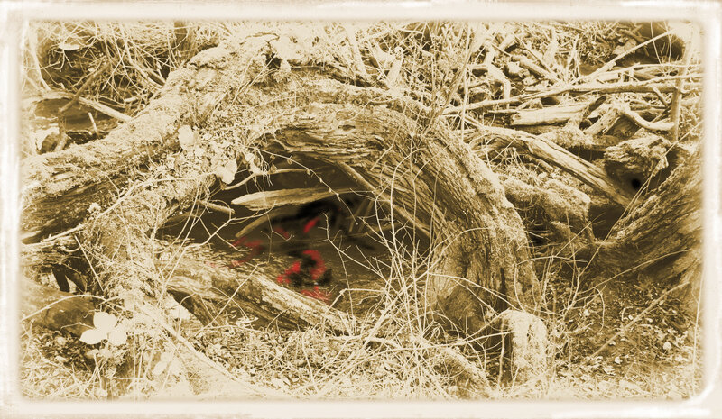 Rotten Log with Red Objects