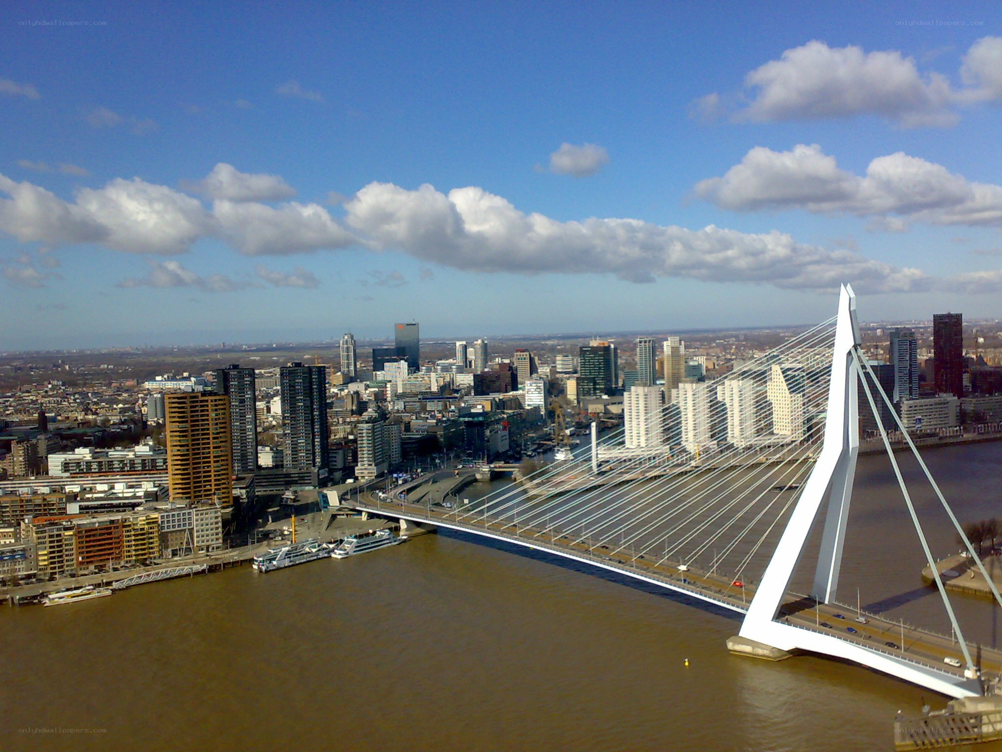 Rotterdam skyline with Erasmus Bridge