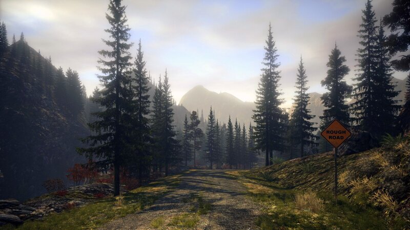 Rough road in forested mountains