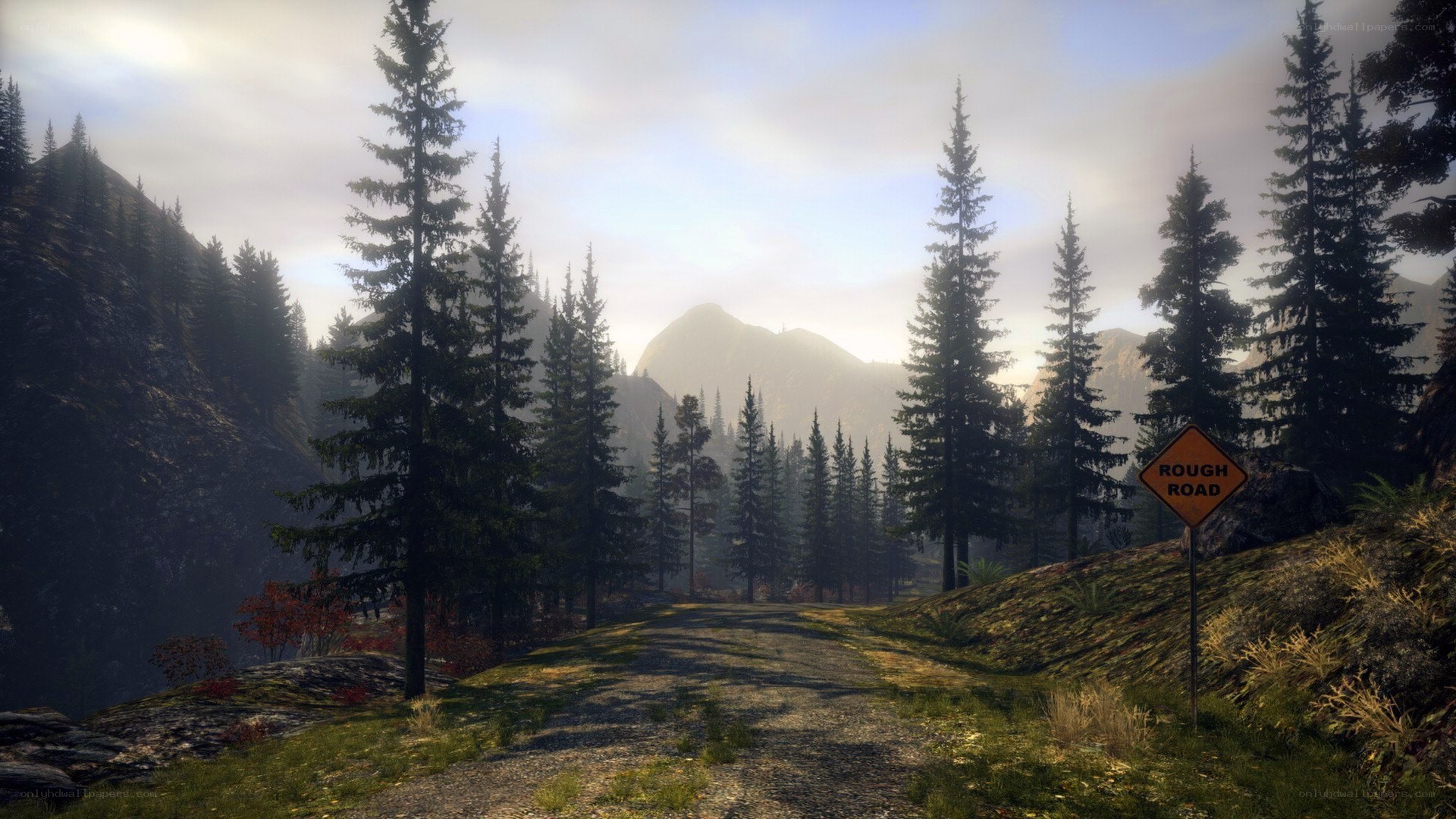 Rough road in forested mountains
