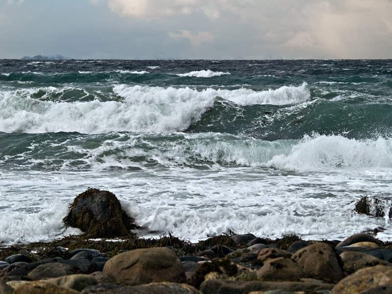 Rough waves on a rocky shore