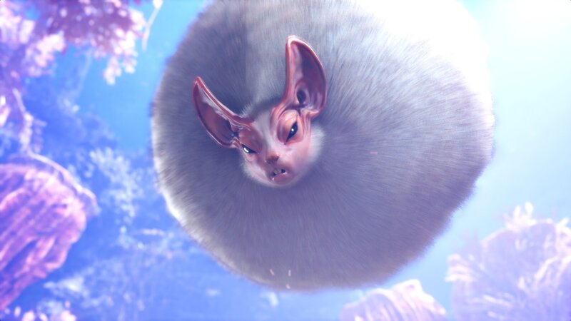 Round Furry Creature