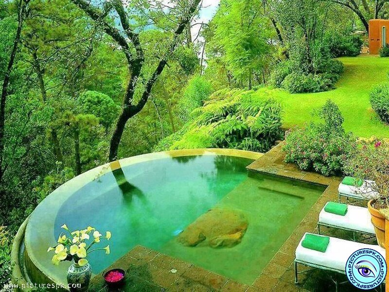Round Pool in Garden — Green, Serene