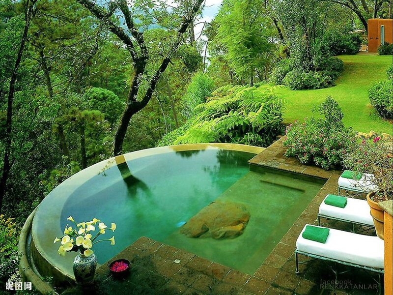 Round Pool in Garden