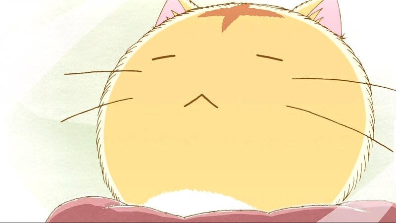 Round Yellow Cat Face