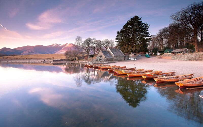 Row Boats on Lake Shore