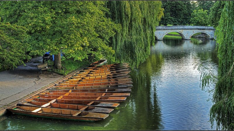 Row Boats on Riverbank