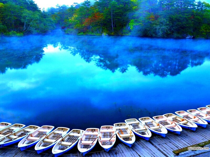 Row of Boats on Dock